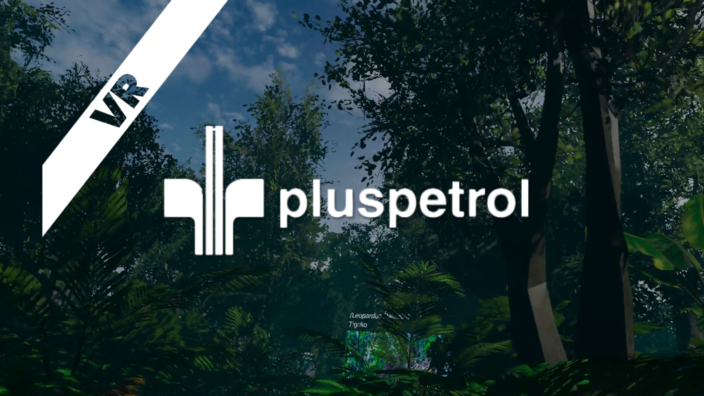 Pluspetrol VR